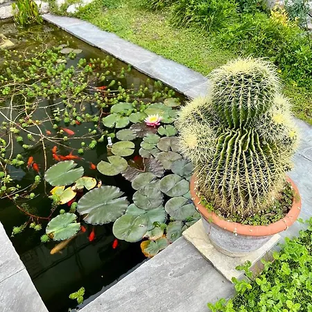 منزل للإقامة Del Lis *